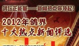 今日十大热点新闻,聚焦时事脉动，洞察社会焦点